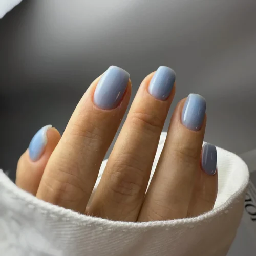 440101798_17879543970062595_1958115268266775206_n